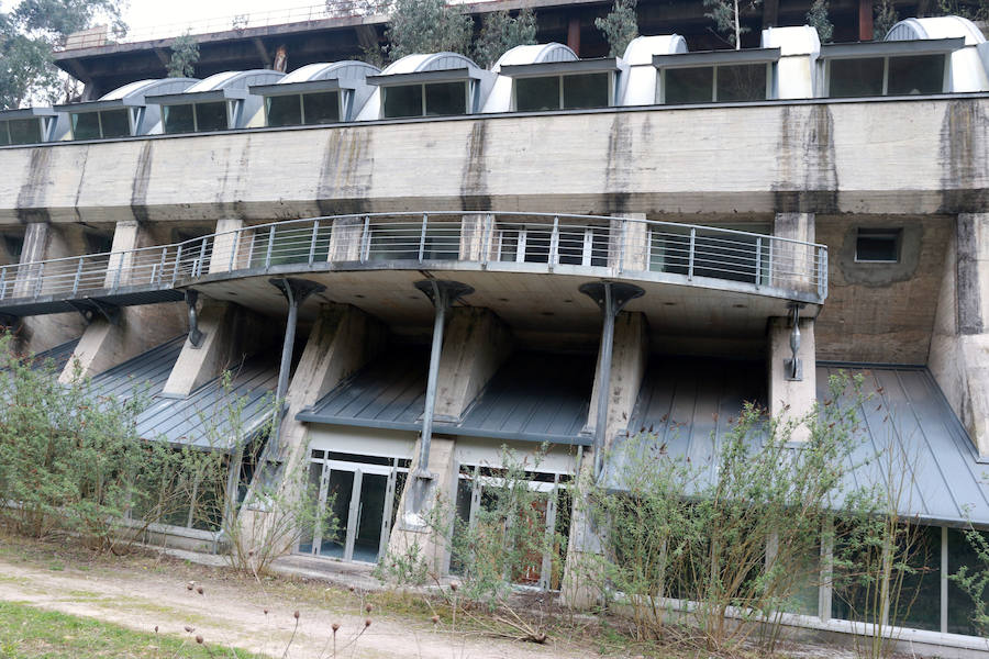 Ramas y arbustos. La vegetación ha tomado los exteriores del equipamiento debido a la falta de limpieza por parte de los operarios del Consistorio.