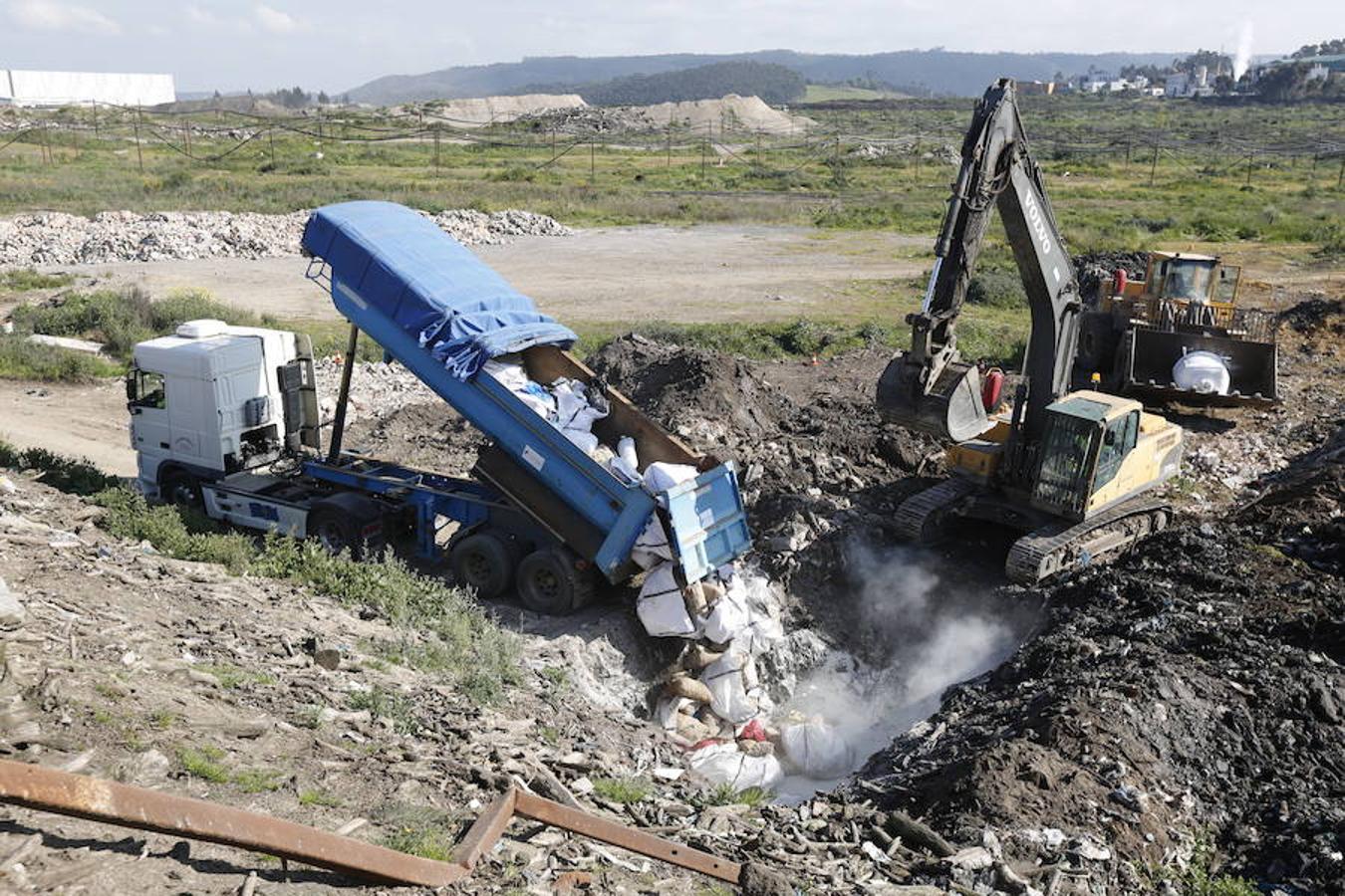 Destrucción de la patata afectada por la polilla guatemalteca