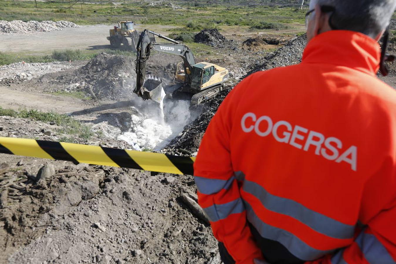 Destrucción de la patata afectada por la polilla guatemalteca