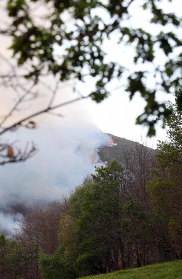 Un incendio quema 15 hectáreas en el Naranco, en Oviedo