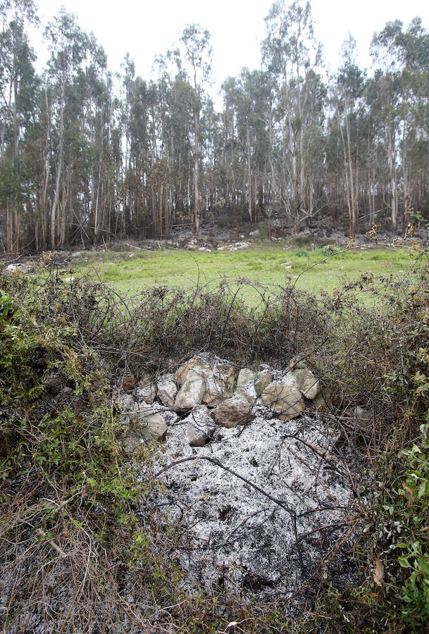 Un incendio quema 15 hectáreas en el Naranco, en Oviedo