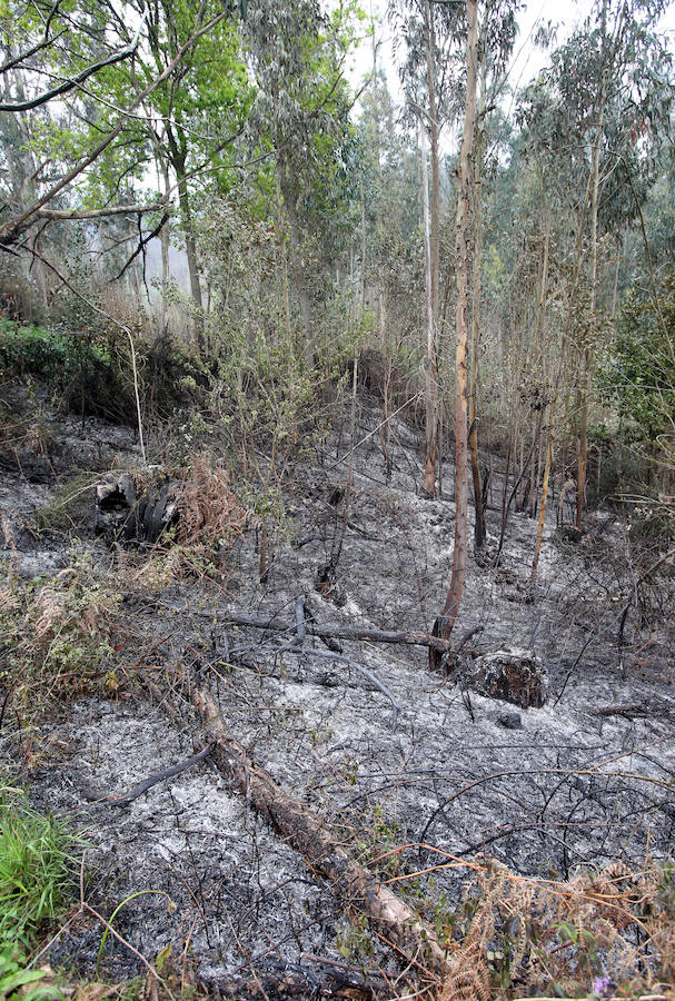 Un incendio quema 15 hectáreas en el Naranco, en Oviedo