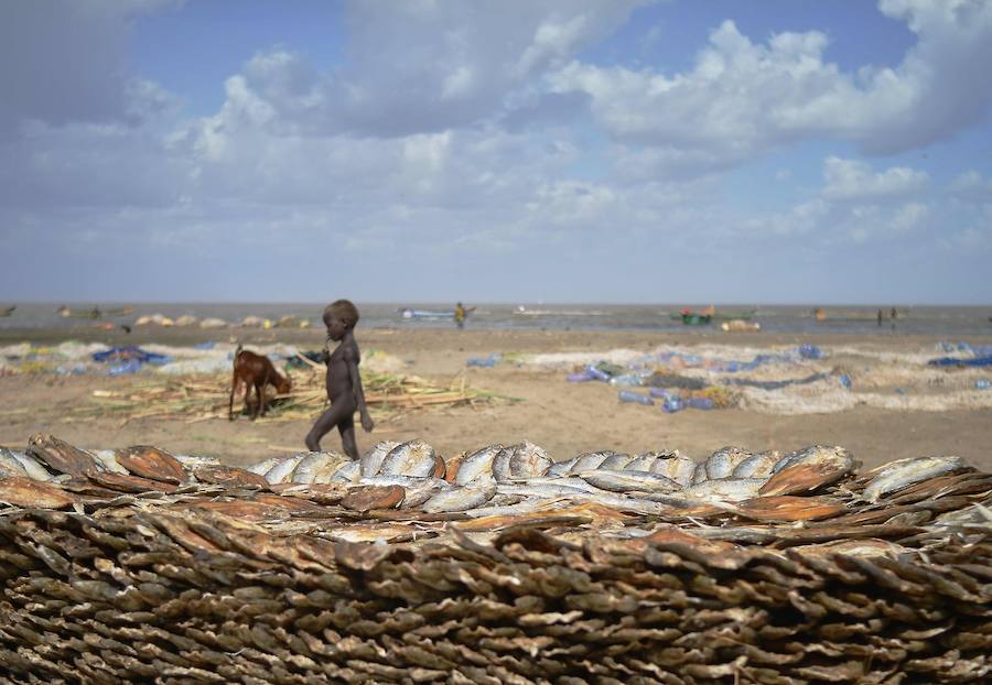 Sequía en Kenia