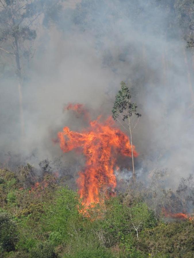 Fuego en el oriente asturiano.