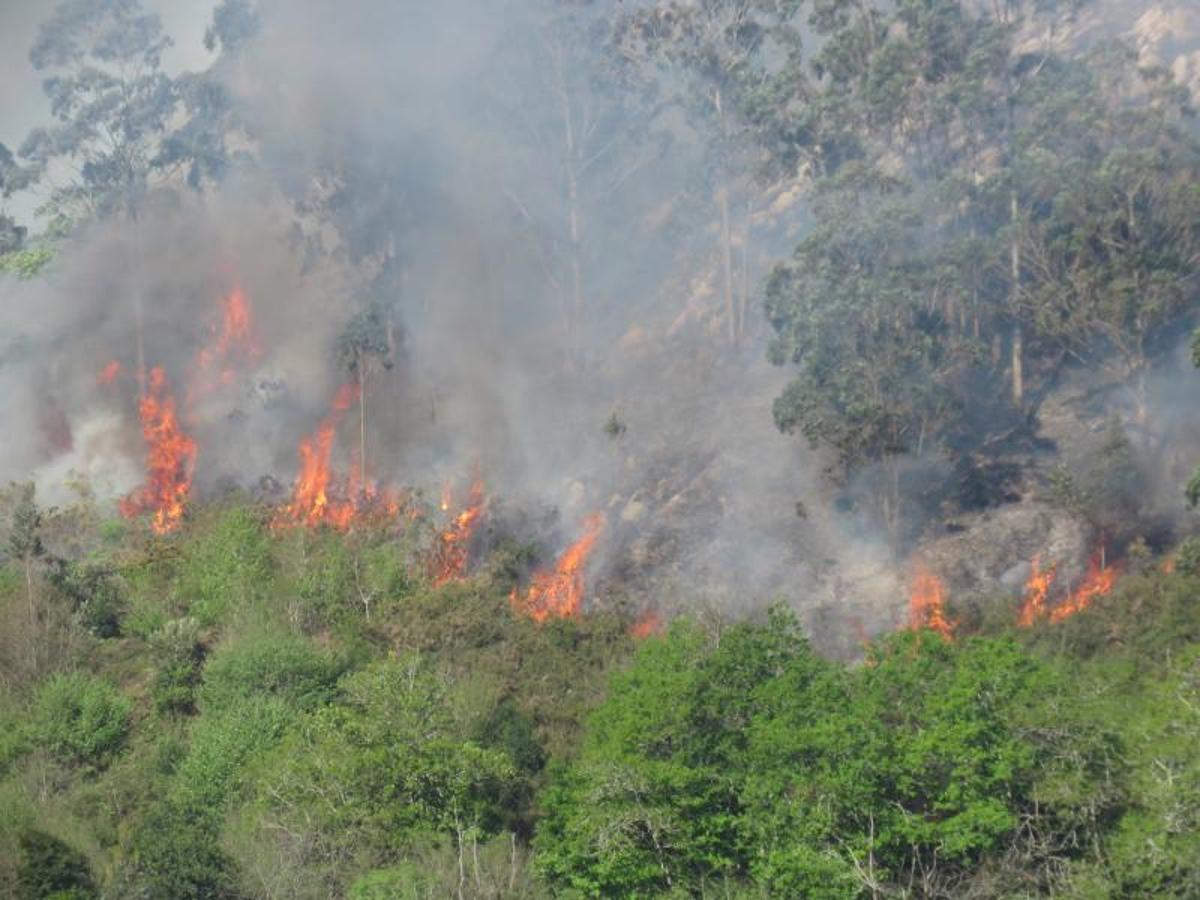 Fuego en el oriente asturiano.