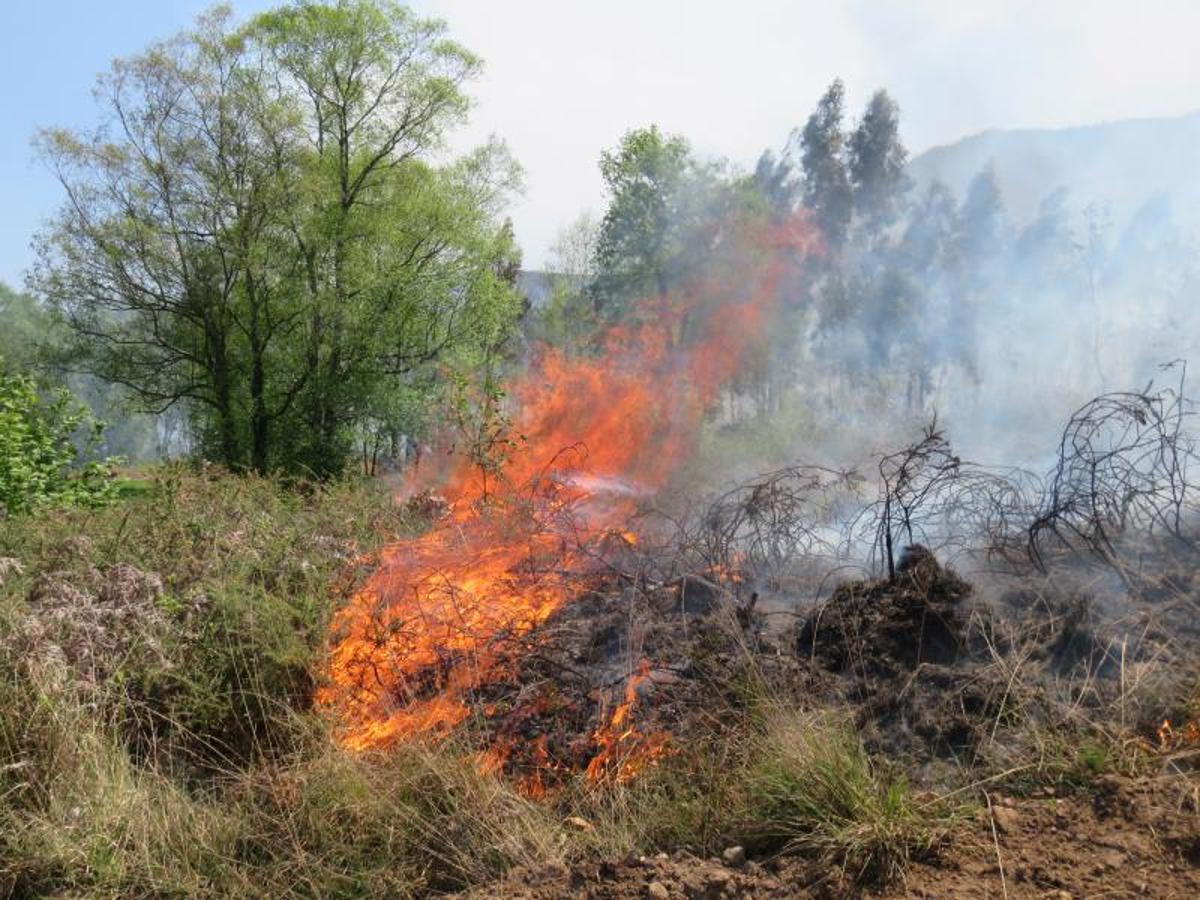 Fuego en el oriente asturiano.