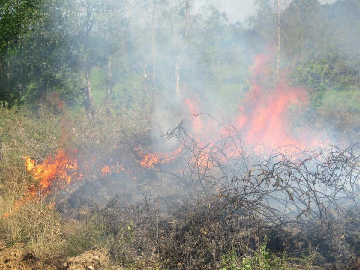 Fuego en el oriente asturiano.