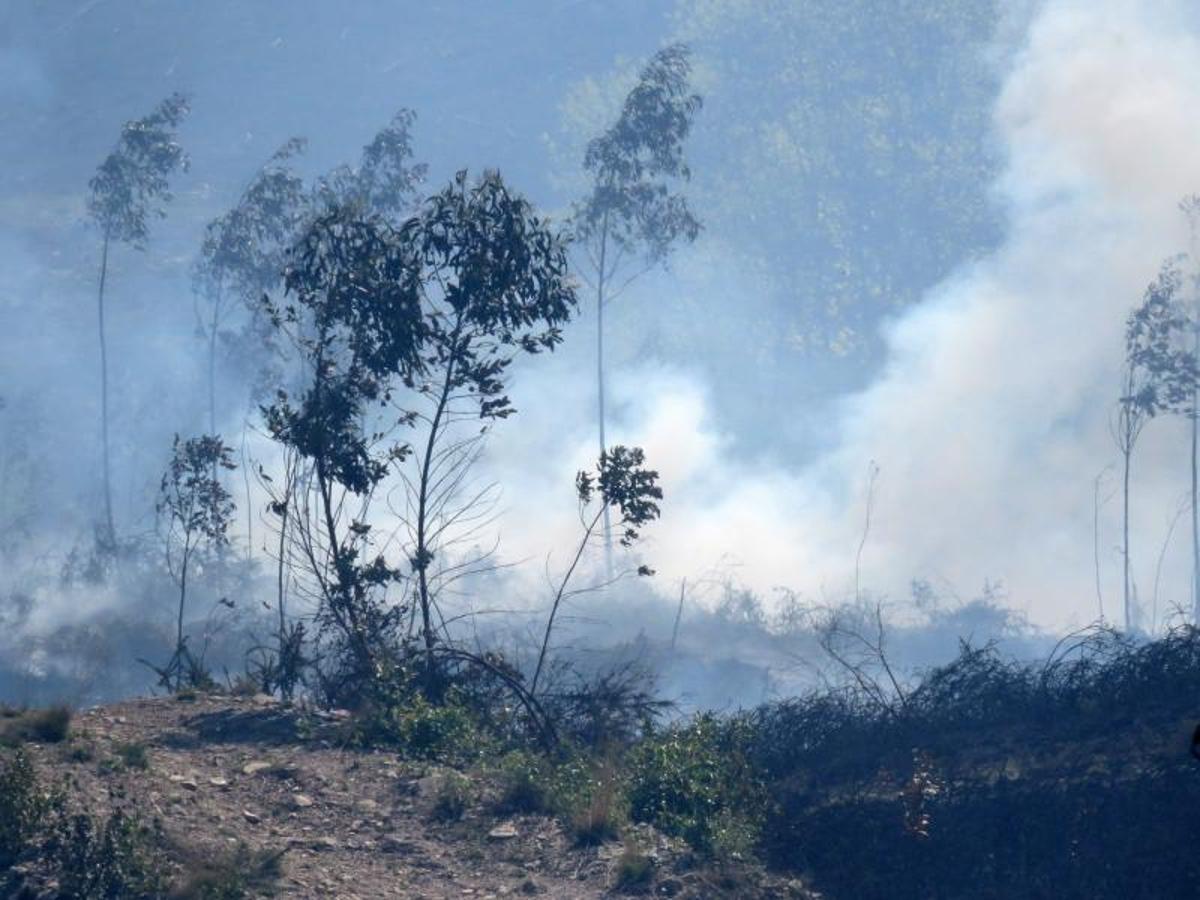 Fuego en el oriente asturiano.