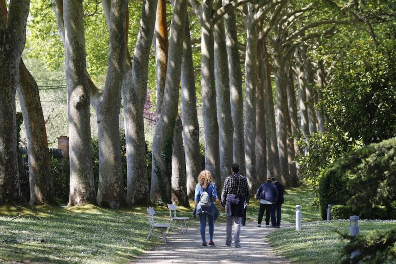Jornada de puertas abiertas en el Botánico de Gijón