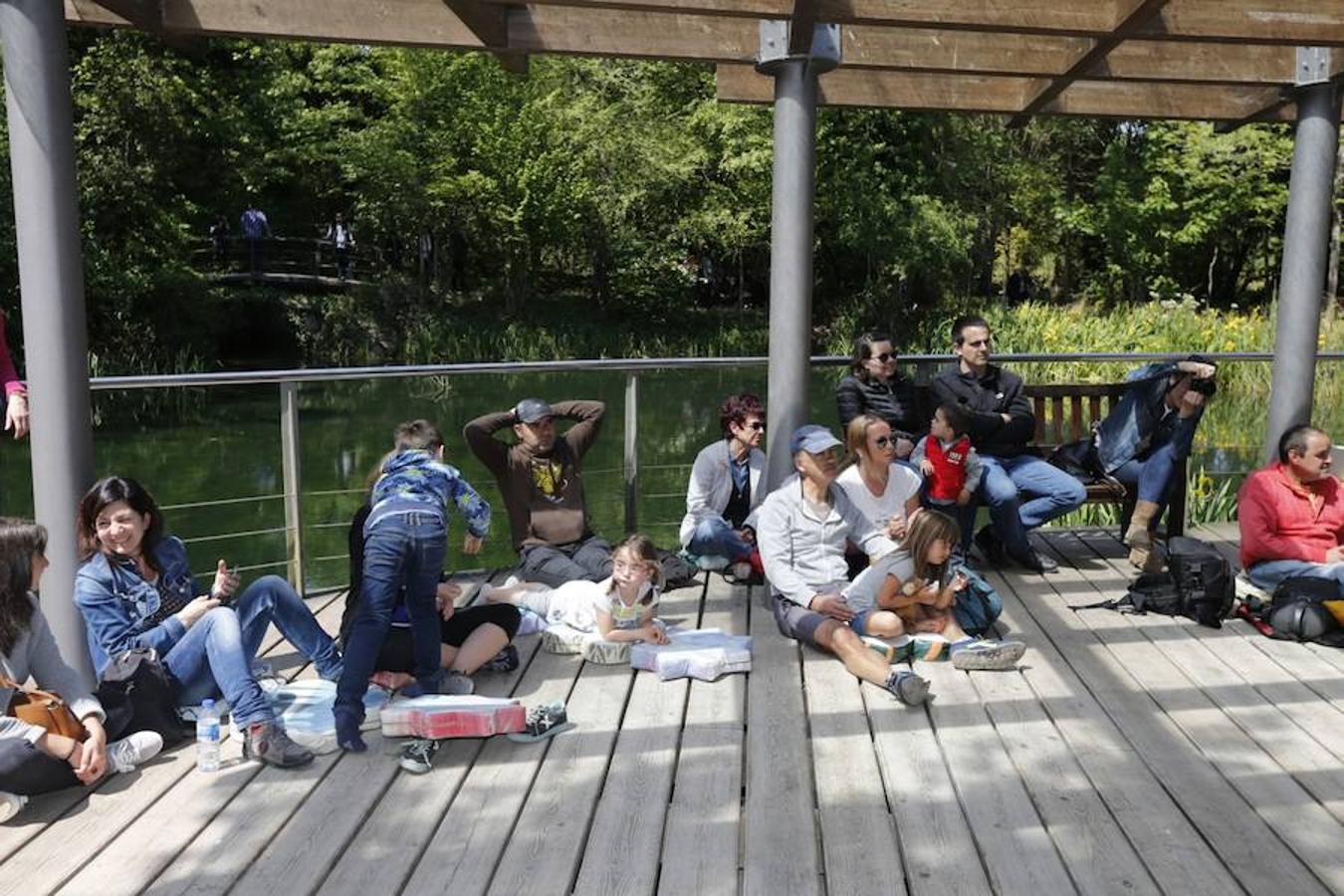 Jornada de puertas abiertas en el Botánico de Gijón