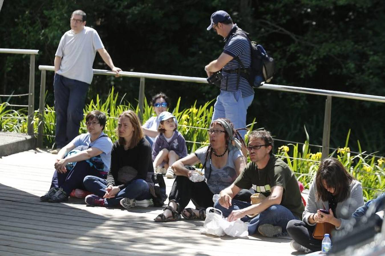 Jornada de puertas abiertas en el Botánico de Gijón