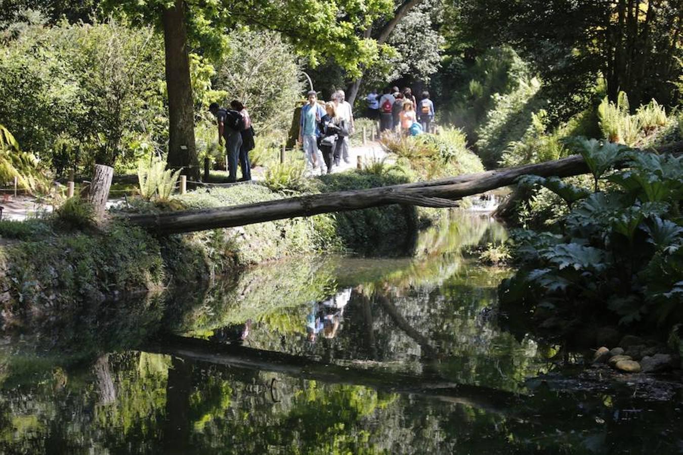 Jornada de puertas abiertas en el Botánico de Gijón