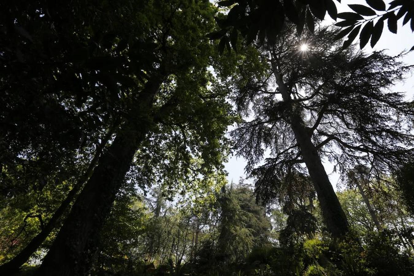 Jornada de puertas abiertas en el Botánico de Gijón