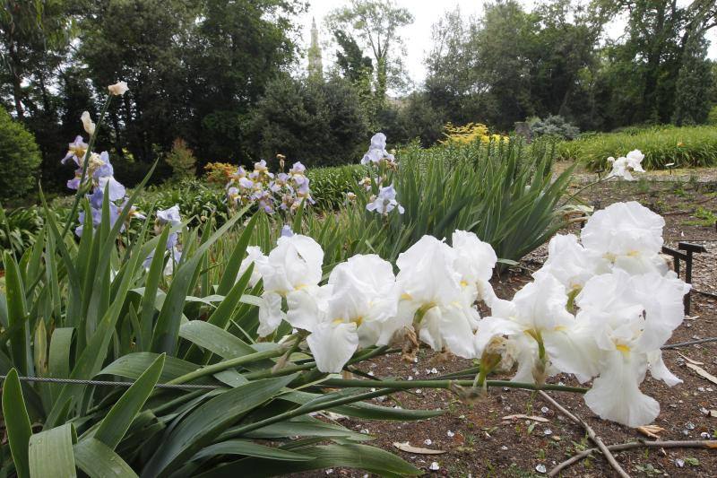 El Jardín Botánico, en todo su esplendor