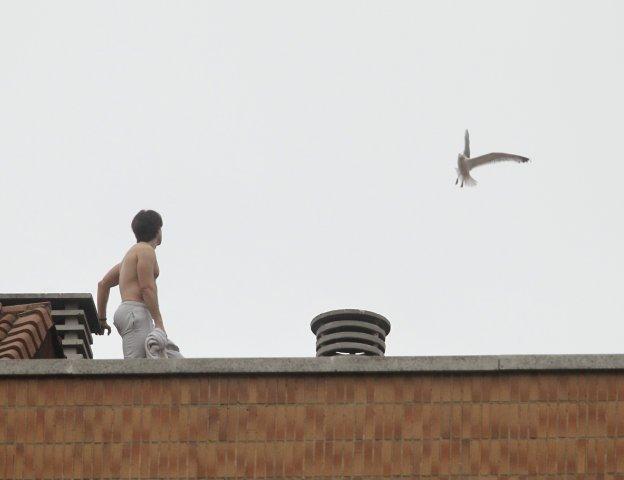 Un joven trata de ahuyentar a una gaviota del tejado de un edificio del barrio de Laviada. 