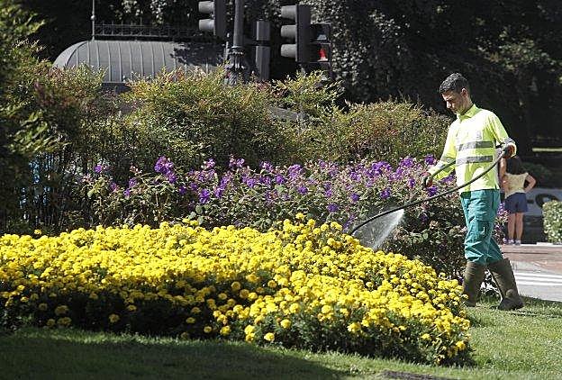 Un operario de Parques regando un macizo de flor. 