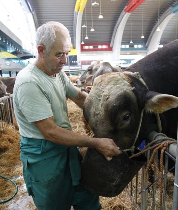 José Luis Llano, uno de los más veteranos del certamen, da de beber al toro 'Mortis'. 