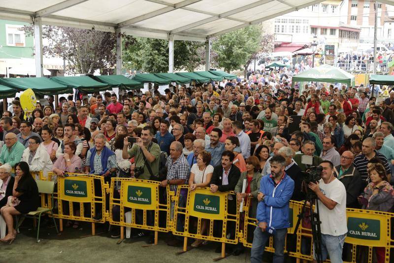 ¿Estuviste en el Certamen de Queso Cabrales en Arenas? ¡Búscate!