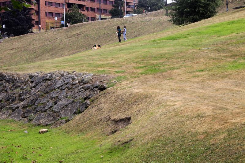 La reducción del riego por el bajo nivel de Los Alfilorios tiñe de amarillo zonas verdes y parques