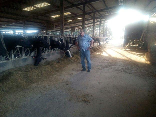 José Manuel Pérez se queja porque las palomas comen el pienso. 