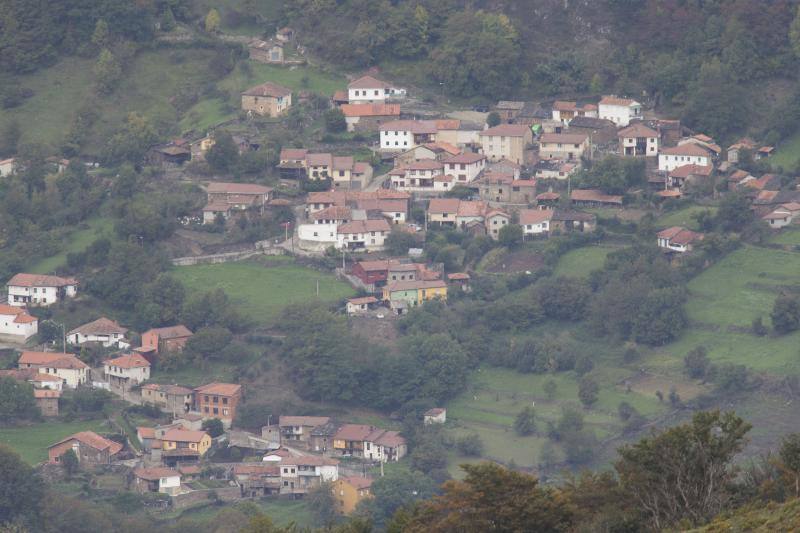 La berrea regresa a los montes asturianos