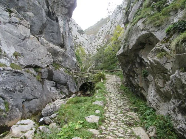 Calzada de las Foces del Pino y puente de traza romana del "Pasaeru".