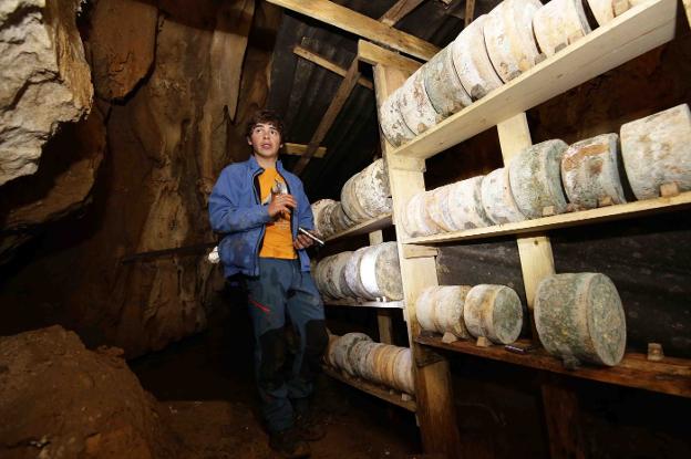 José Luis Alonso revisa los quesos para el certamen de Cangas en la cueva de la Vega de Gumartini. 