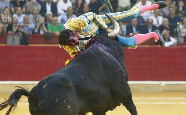 Cayetano Rivera, corneado en Zaragoza. 