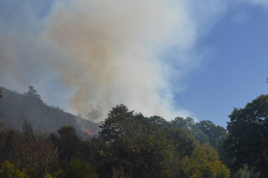 Incendio forestal en Degaña