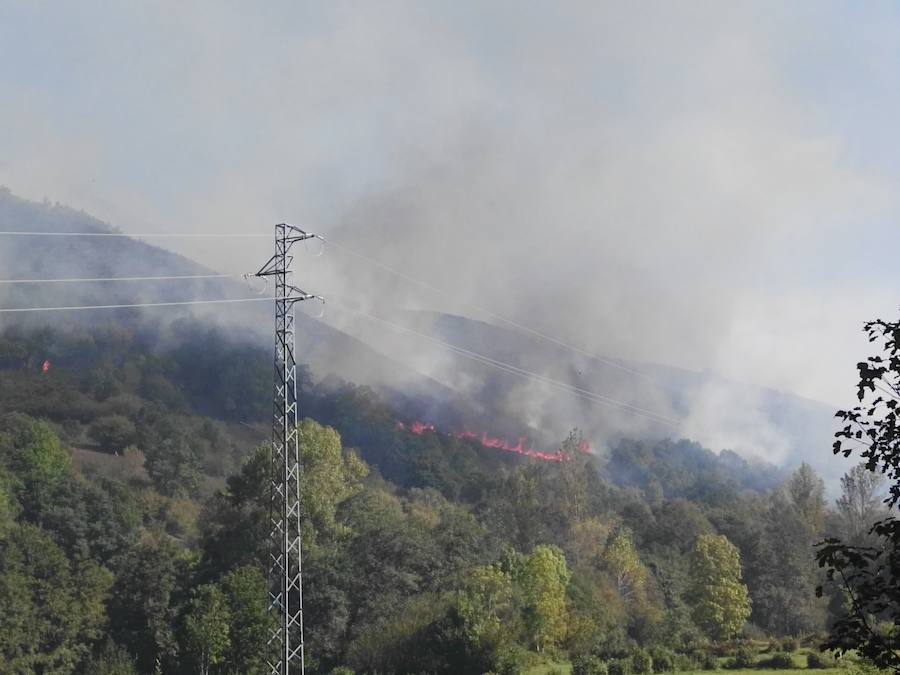 Incendio forestal en Degaña