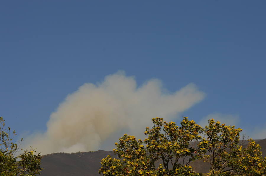 Degaña lucha contra el fuego