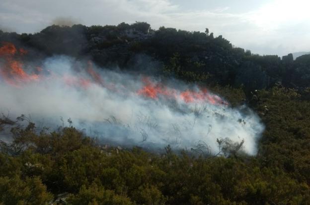 Catorce incendios elevan el nivel de alerta en Asturias