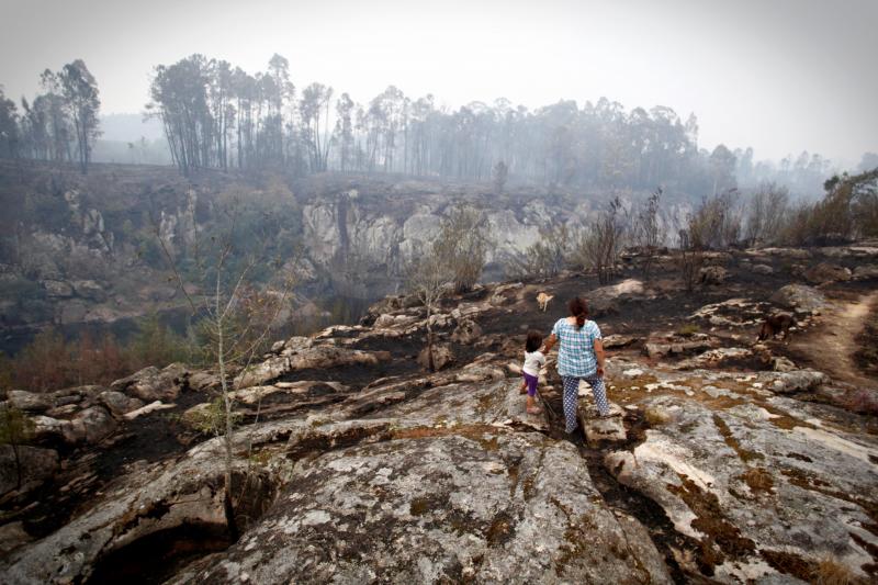 Unos 350 brigadas, 220 motobombas, cuarenta palas y una veintena de medios aéreos trabajan en la comunidad gallega para combatir los incendios que arrasan más de 4.000 hectáreas en 146 nuevos focos desde el viernes