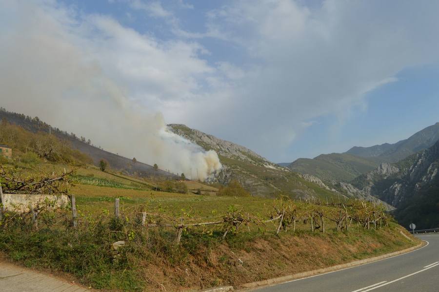 El fuego no da tregua al suroccidente asturiano