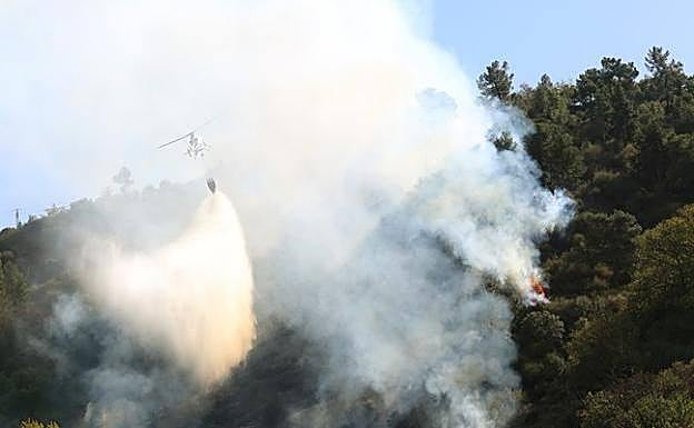 Incendio forestal en un paraje de Ponferrada. 