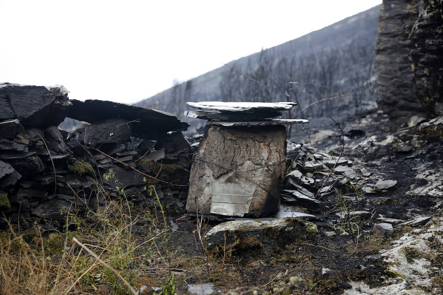 Desolación tras el paso del fuego