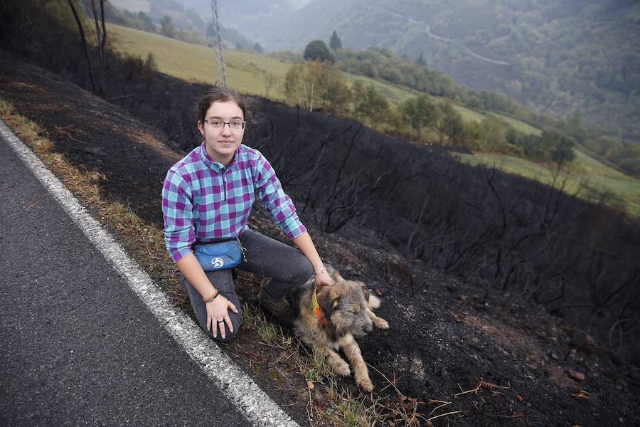 Desolación tras el paso del fuego