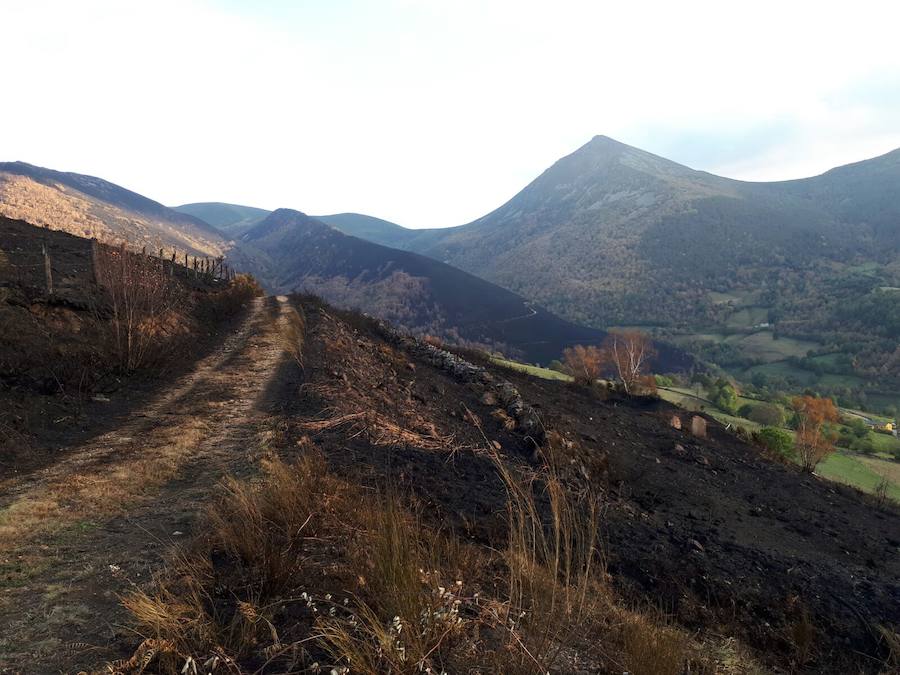 Desolación tras el paso del fuego