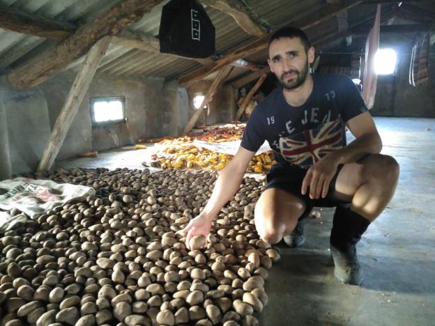 El agricultor Ángel Pérez, en su almacén de patatas de la localidad castropolense de San Cristóbal. 