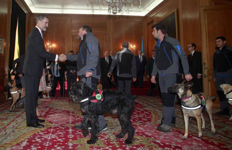 Los Reyes reciben a los premiados con las Medallas de Asturias