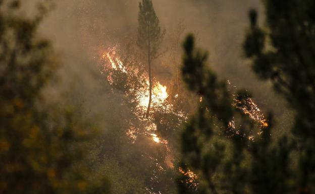 Nueve municipios asturianos presentan un índice de riesgo 'extremo' por incendios forestales