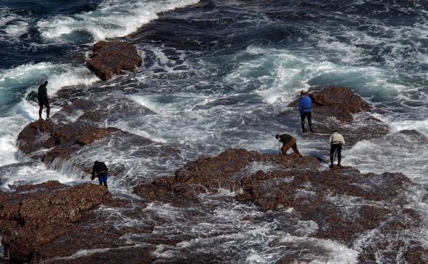 Piden multar con 3.000 euros a dos acusados de mariscar de forma ilegal en Llanes