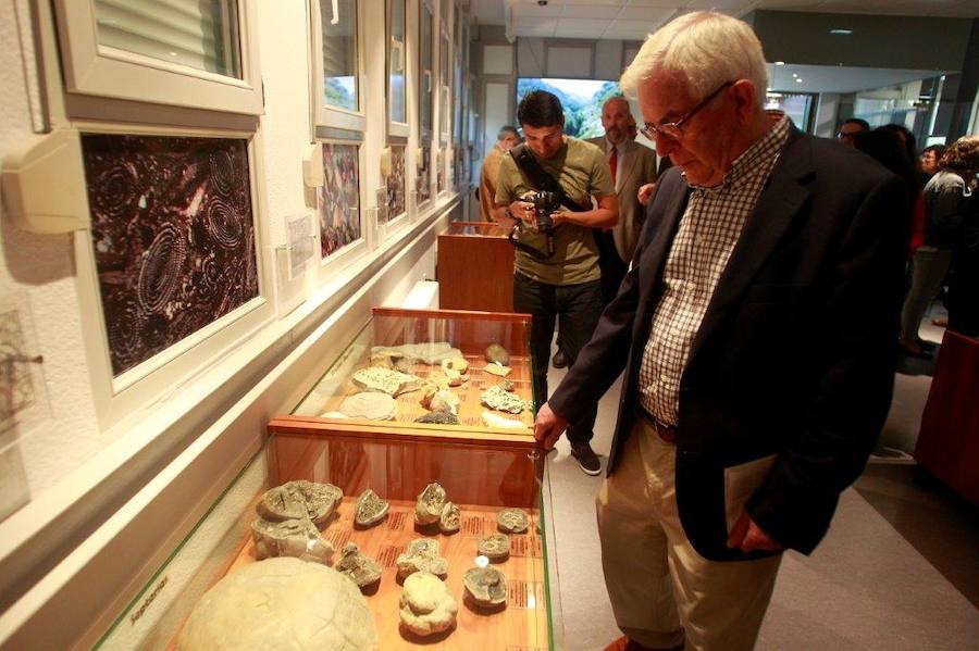 El Museo de Geología estrena ampliación