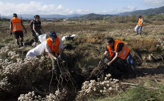 Retiran media tonelada de basura junto a la ría de Villaviciosa