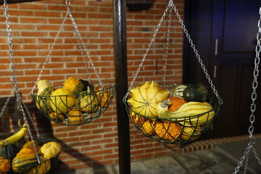 Noche de terror en el Halloween del Botánico