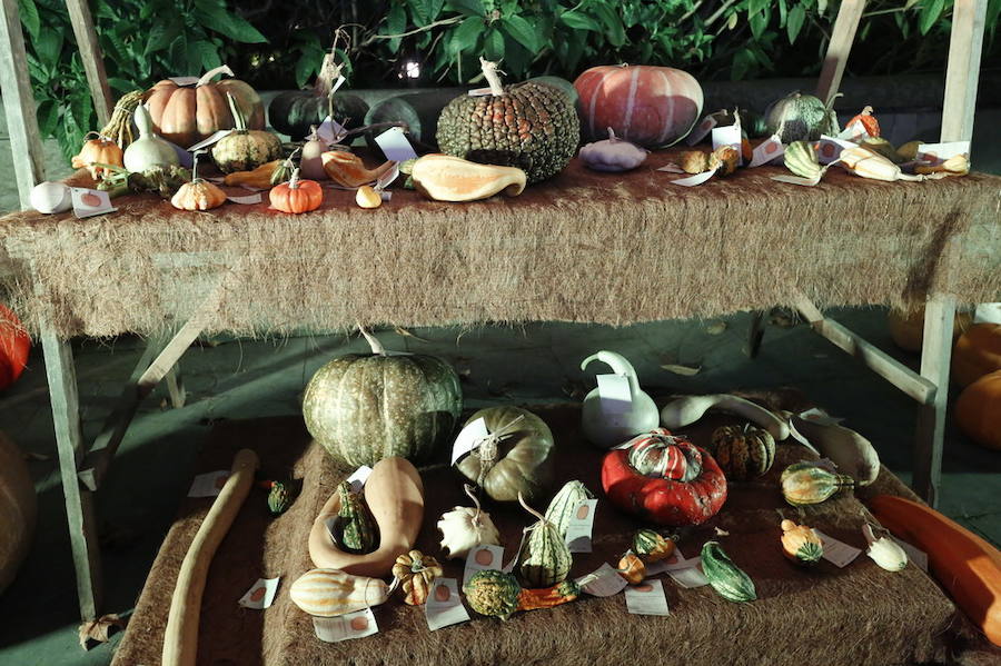 Noche de terror en el Halloween del Botánico