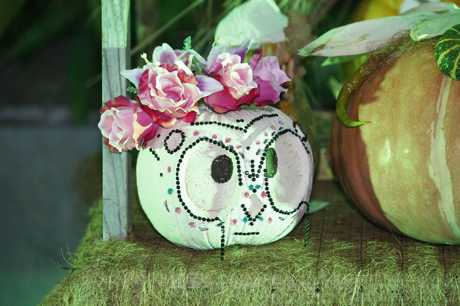 Noche de terror en el Halloween del Botánico