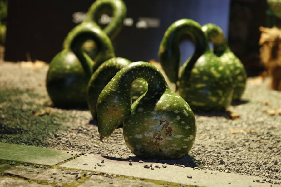 Noche de terror en el Halloween del Botánico