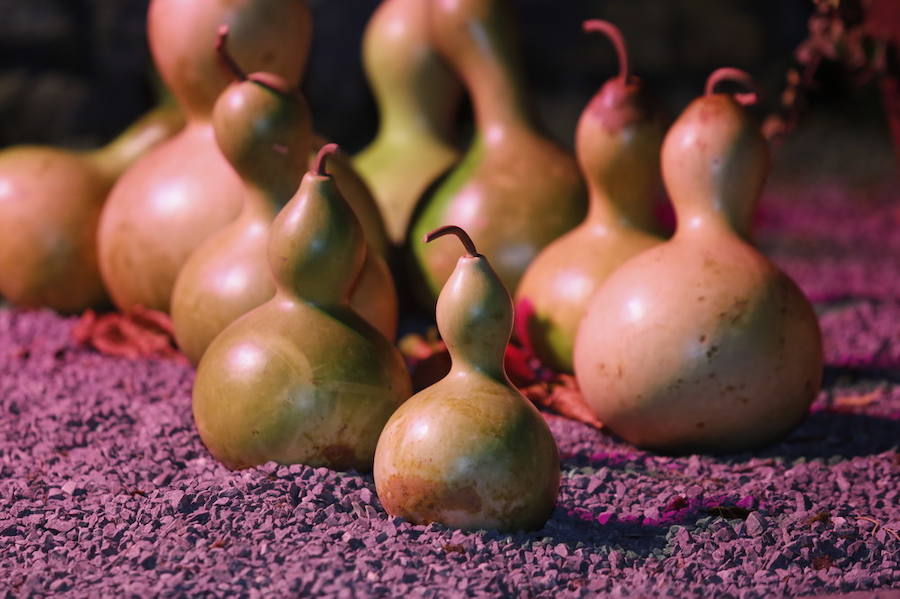 Noche de terror en el Halloween del Botánico