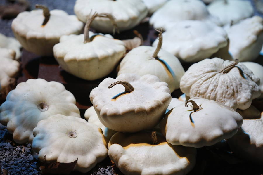 Noche de terror en el Halloween del Botánico